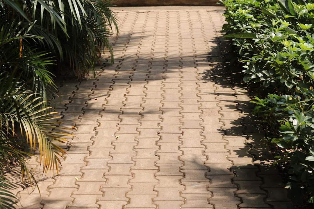 path
